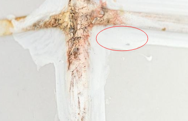 密封膠在生產時可以使用熒光增白劑增白嗎？